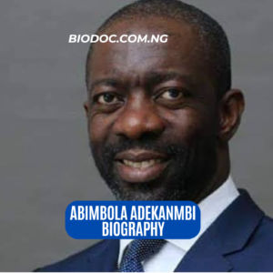 Abimbola Adekanmbi biography — age, career and Oyo 2027 ambition
